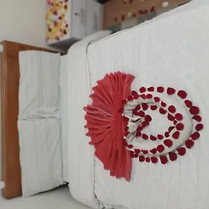Addis Guest House Bed & Breakfast